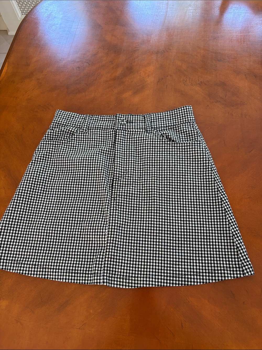 Brandy Melville(John Galt) Black and White Gingham A-Line Skirt